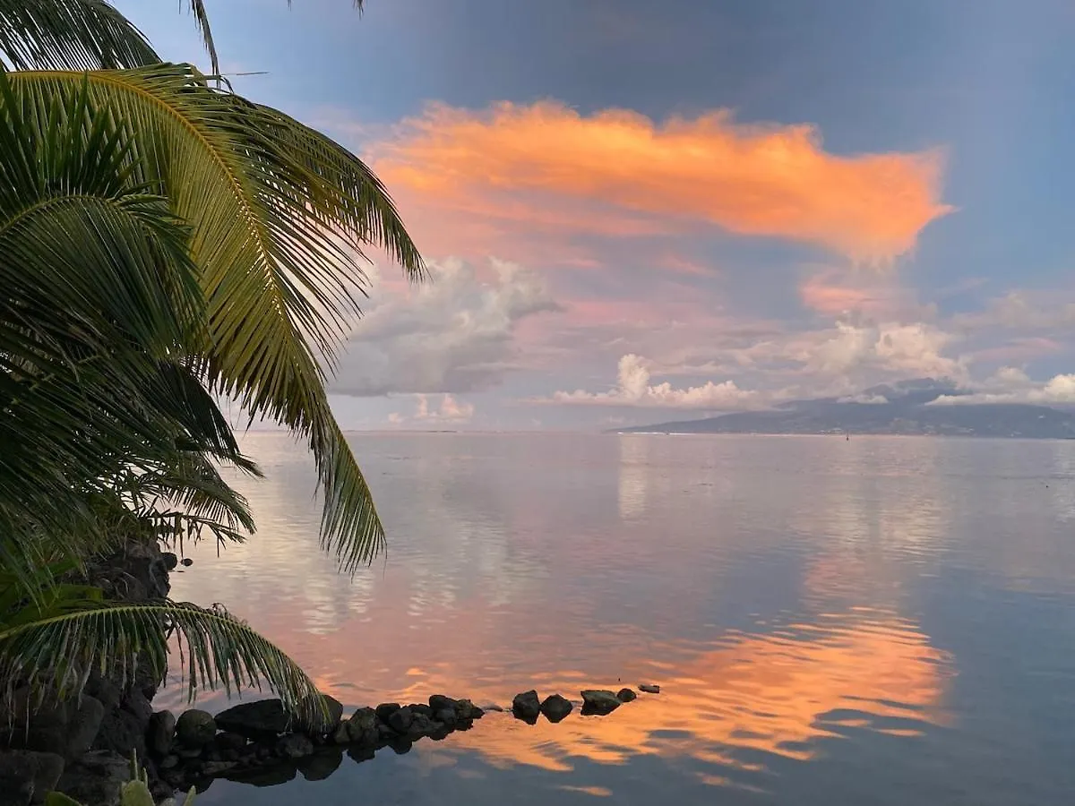 Apartamento Fare Travelling'S Turtle Afareaitu